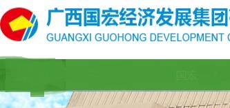 廣西國宏集團(tuán)董家政簡歷，陳海波、李倩、羅勇、唐建琦、覃銘、鐘麗、白衛(wèi)夫、鄒煥鑫領(lǐng)導(dǎo)班子